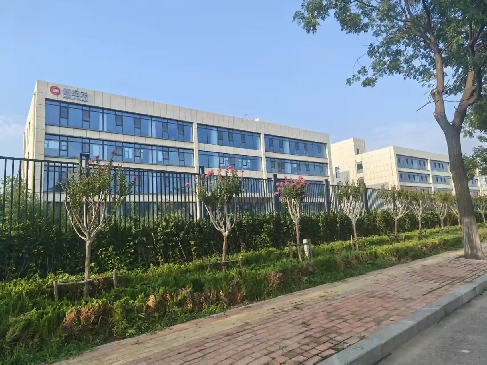 SD XJY Pipe headquarters office building